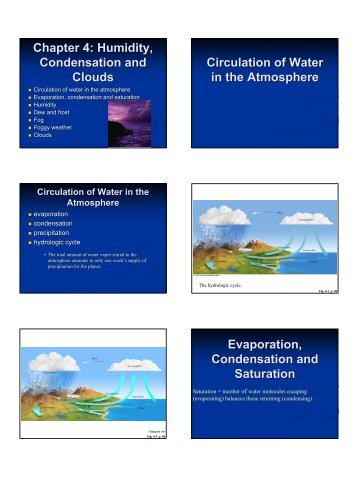 Chapter 4: Humidity, Condensation and Clouds Circulation of Water ...