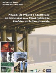 Manual de Projeto e ConstruÃ§Ã£o de Estruturas com - Montana