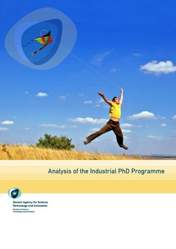 analysis-of-the-industrial-phd-programme