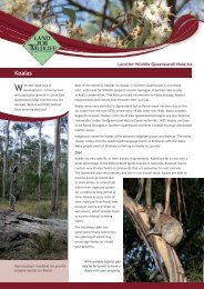 Note A4 Koalas - Land for Wildlife South East Queensland