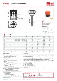 Normblatt GN 552 PDF - Ganter