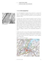 1. conditions-cadre carouge dans son contexte - Etat de GenÃ¨ve