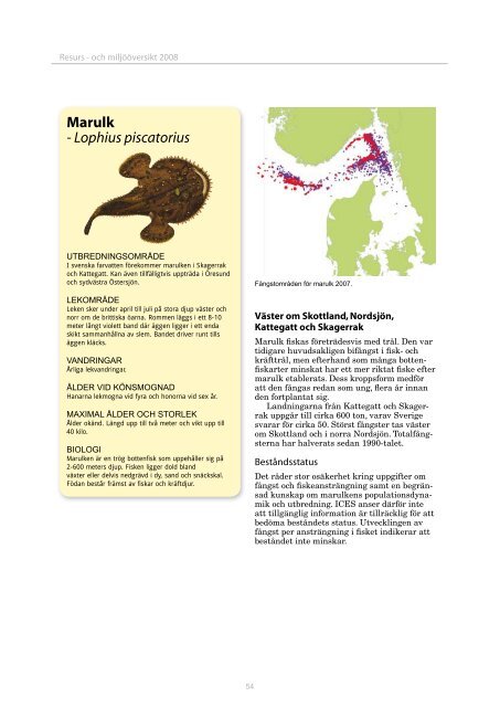 Resurs- och miljÃ¶Ã¶versikt 2008 - Havs- och vattenmyndigheten