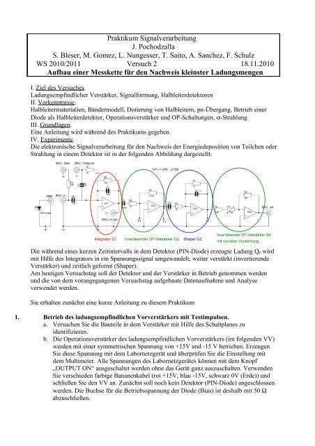 pdf-Datensatz