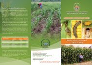 Bio Control del Maiz - Chavimochic
