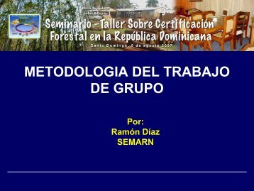 METODOLOGIA DEL TRABAJO DE GRUPO - CEDAF