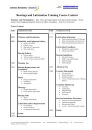 Bearings and Lubrication Training Course Content - Lifetime ...