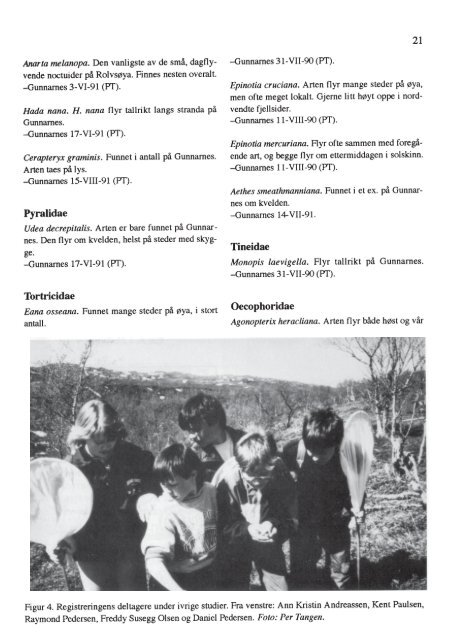 Insekt-Nytt nr. 2, 1991 - Norsk entomologisk forening