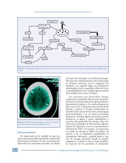 Click - AsociaciÃ³n Colombiana de NeurologÃ­a