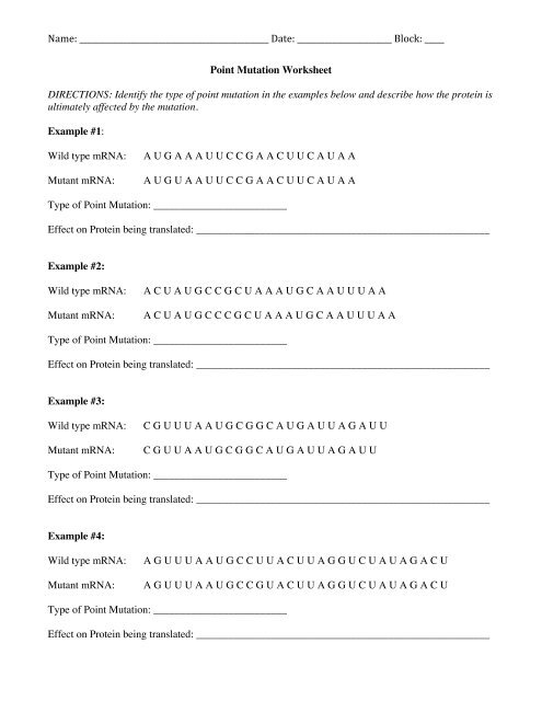 Point Mutation Worksheet - nnhsbergbio