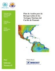 Plan de AcciÃ³n para la RecuperaciÃ³n de las Tortugas ... - WIDECAST