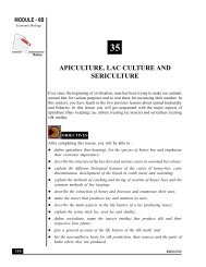 APICULTURE, LAC CULTURE AND SERICULTURE