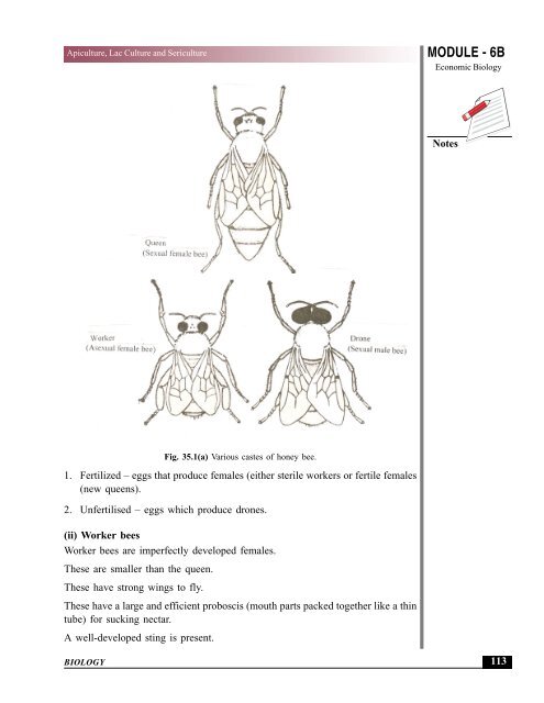 APICULTURE, LAC CULTURE AND SERICULTURE