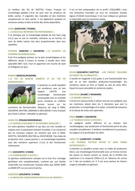 Commentaires Sortie Holstein 11.3 (Sersia) - Sersia France