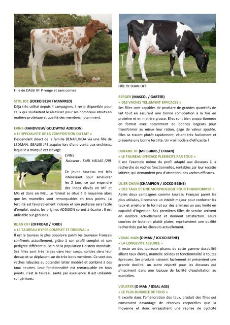 Commentaires Sortie Holstein 11.3 (Sersia) - Sersia France