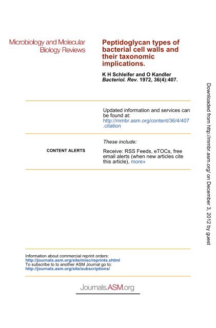 Peptidoglycan .Types of Bacterial Cell Walls and their Taxonomic ...