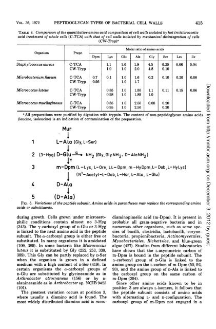 Peptidoglycan .Types of Bacterial Cell Walls and their Taxonomic ...