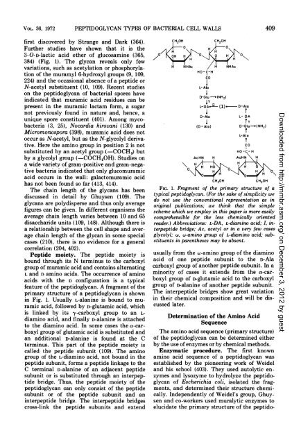 Peptidoglycan .Types of Bacterial Cell Walls and their Taxonomic ...