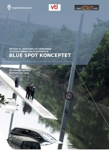 Blue spot konceptet Rapport - Klimatilpasning