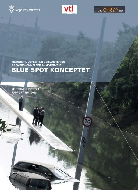 Blue spot konceptet Rapport - Klimatilpasning