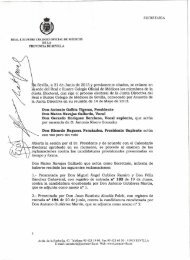 La Junta Electoral del Colegio de MÃ©dicos de Sevilla ha resuelto