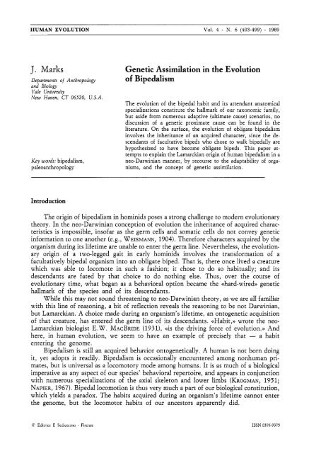 Genetic assimilation in the evolution of bipedalism
