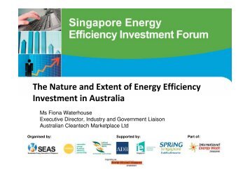 The Nature and Extent of Energy Efficiency Investment in Australia