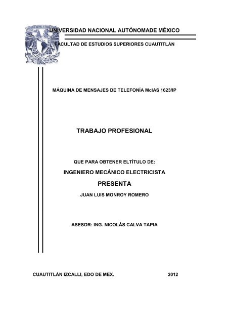 TRABAJO PROFESIONAL PRESENTA