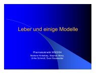 Leber und einige Modelle