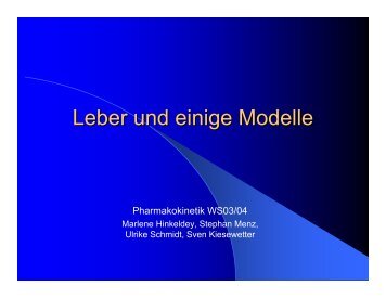 Leber und einige Modelle