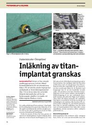Inläkning av titanimplantat granskas - Tandläkartidningen