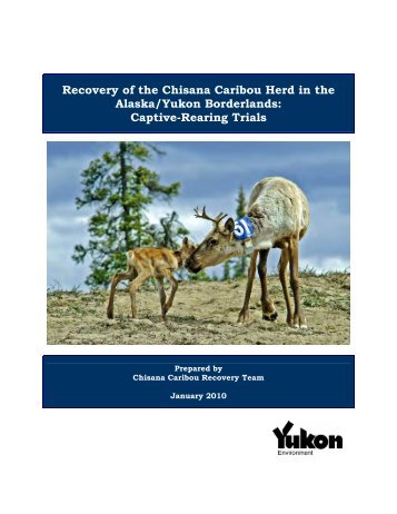Recovery of the Chisana Caribou Herd - Department of Environment
