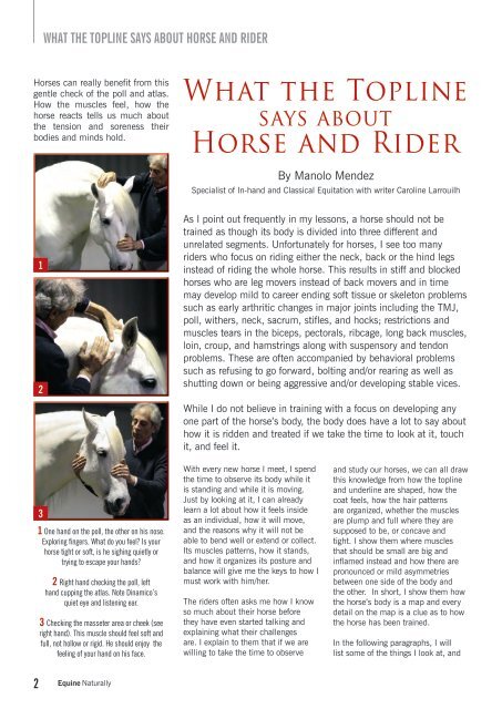 What-the-Topline-Says-about-Horse-and-Rider-by-Manolo-Mendez