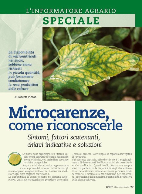 Microcarenze, come riconoscerle - L'Informatore Agrario