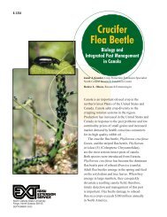 Crucifer Flea Beetle Biology and Integrated Pest Management in ...