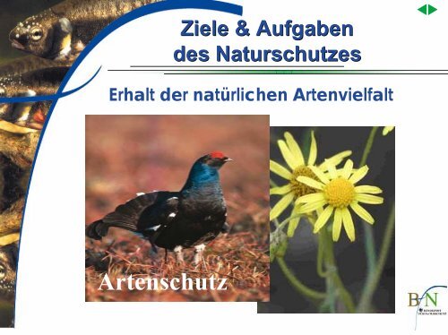 Moderner Naturschutz - Bundesamt fÃ¼r Naturschutz