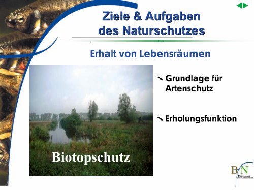 Moderner Naturschutz - Bundesamt fÃ¼r Naturschutz