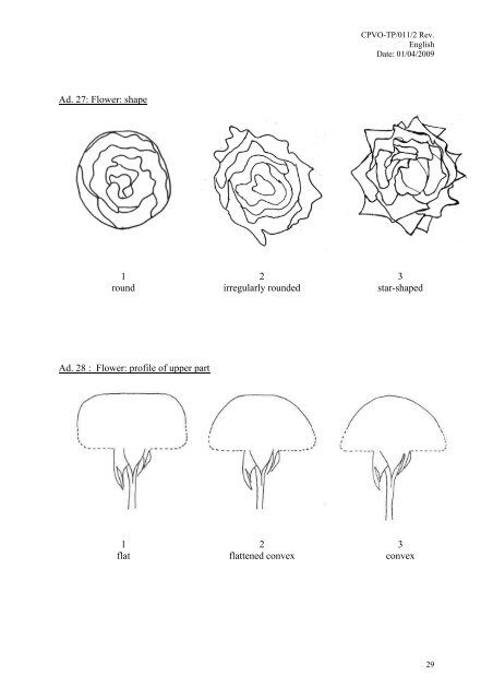 CPVO Protocol for Impatiens walleriana - VAAD