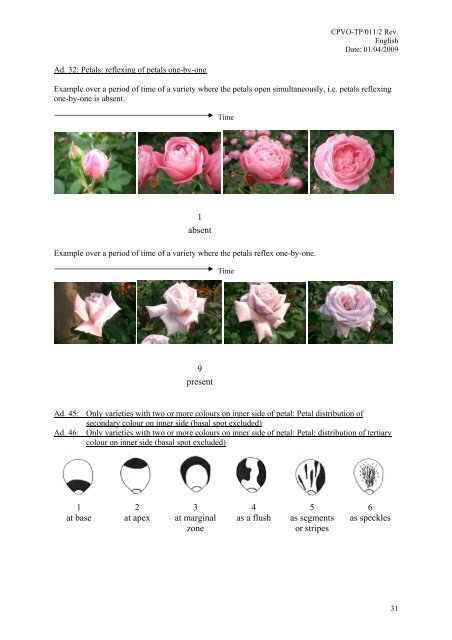 CPVO Protocol for Impatiens walleriana - VAAD