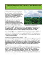 Conservation Concessions in the Maya Biosphere Reserve