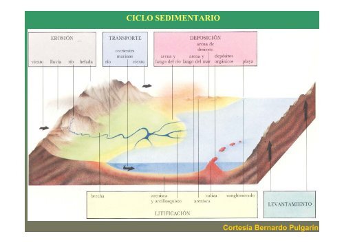 PresentaciÃ³n - Universidad del Cauca