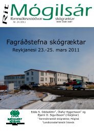 FagrÃ¡Ã°stefna skÃ³grÃ¦ktar, Reykjanesi 23. - 25 ... - SkÃ³grÃ¦kt rÃ­kisins