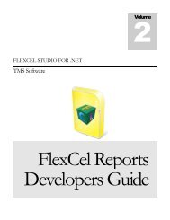 FlexCel Reports Developers Guide - TMS Software