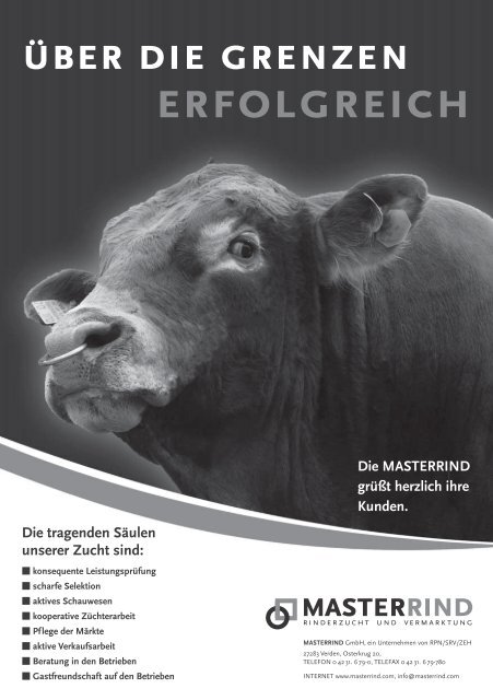 Fleischrinder - Rinderzucht Mecklenburg Vorpommern