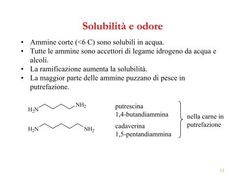 Sintesi di Ammine - ITIS E. Divini