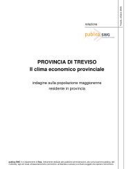 il clima economico nella provincia di Treviso ottobre 2005 Peso