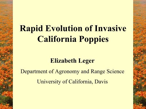 Rapid evolution of invasive California poppies - Cal-IPC