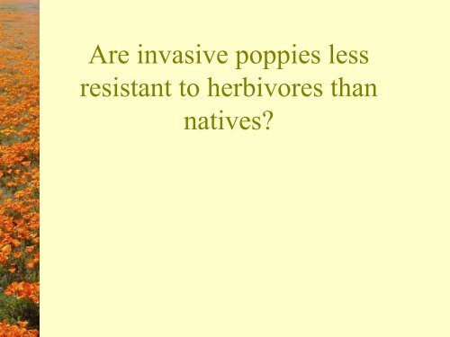 Rapid evolution of invasive California poppies - Cal-IPC