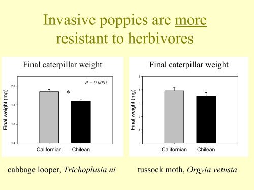 Rapid evolution of invasive California poppies - Cal-IPC