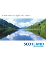 Case Study - Angus Soft Fruits - Scotland Food and Drink